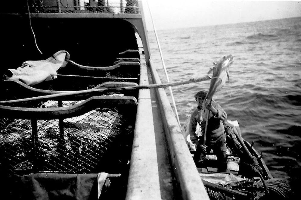fishermen trowing codfish inside boat