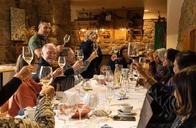 green wine region portugal private tour