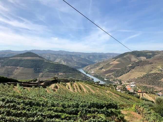 viewpoint douro valley day trips from porto
