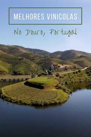 melhores vinicolas visitar douro portugal