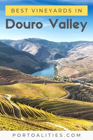 best vineyards douro valley portugal