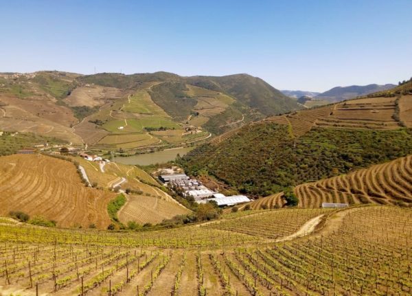 melhores vinícolas douro vinhateiro