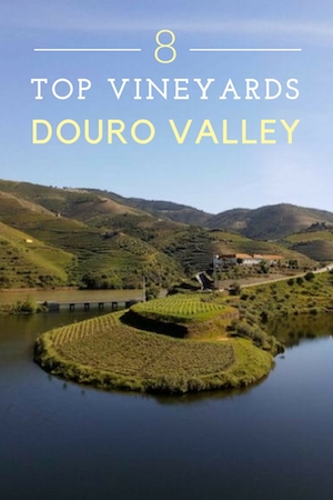 top vineyards douro valley
