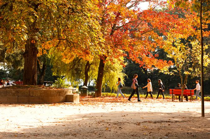 autumn porto parks