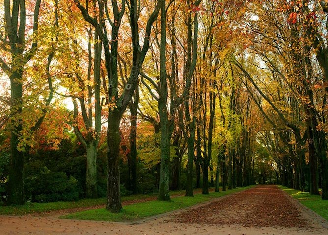 serralves park romantic things porto serralves park romantic things porto