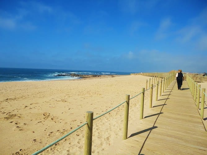 beach canide south gaia sand sea