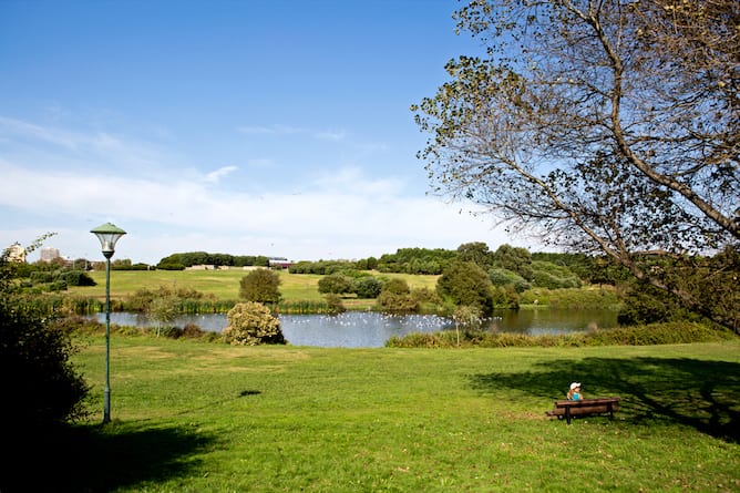 picnic city park porto with teenagers