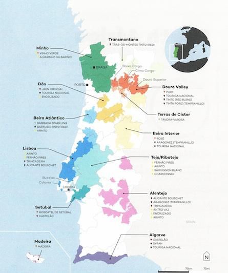 wine reigon map portugal