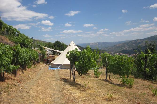 camping vineyards porto