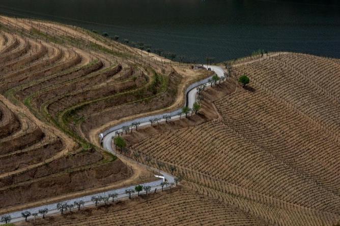 douro valley curvy roads