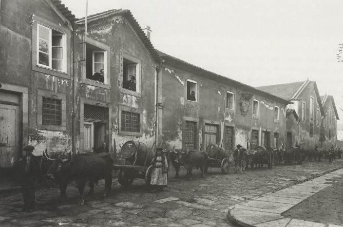 old cais gaia wine transportation