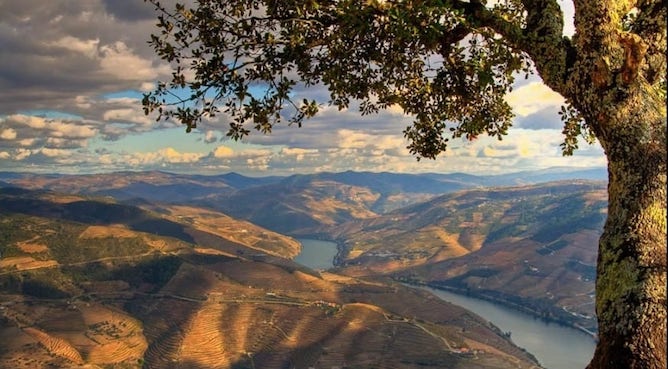 sao leonardo galafura viewpoint douro valley