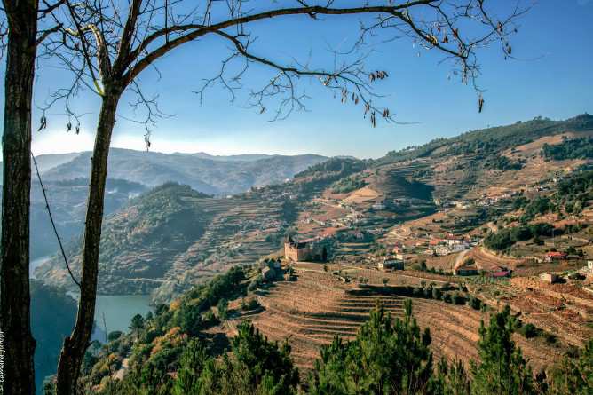 douro valley autumn porto