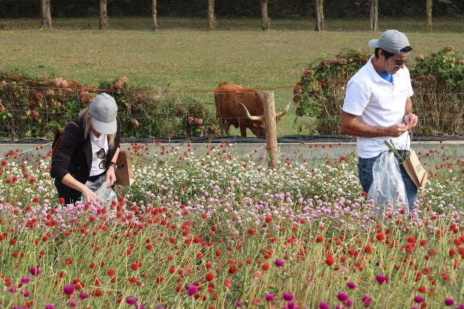 relaxing porto organic farm