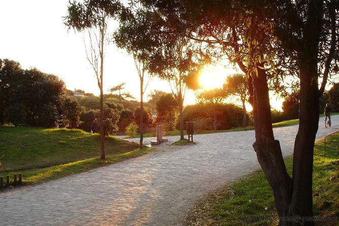 relaxing porto parque cidade