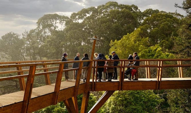 treetop walk serralves foundation porto