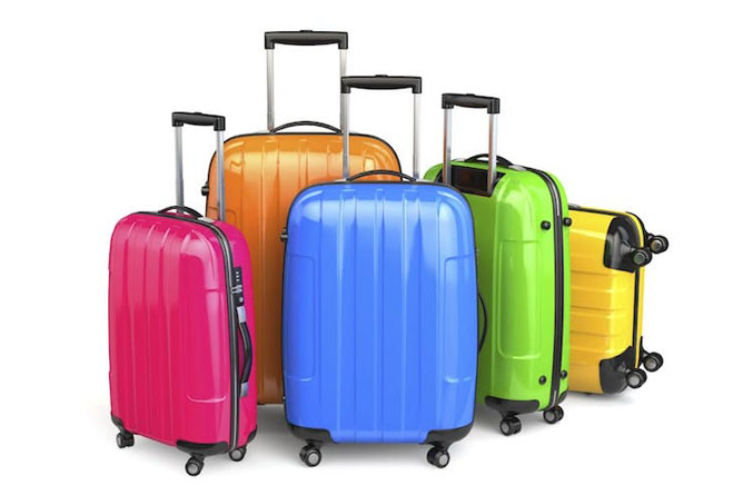 Image result for luggage images