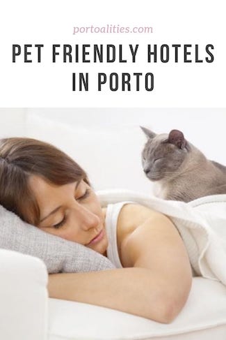 pet friendly hotels porto sleeping cat pinterest