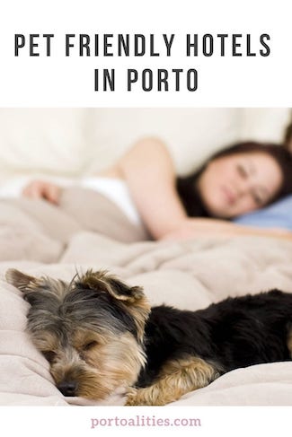 pet friendly hotels porto sleeping dog