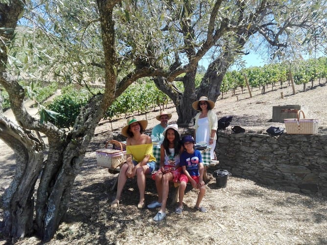 picnic quinta roeda douro valley families