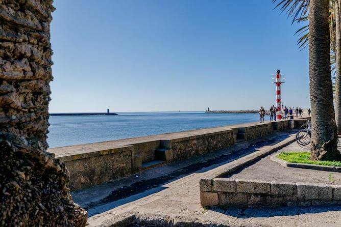 promenade palm trees lighthouse foz porto