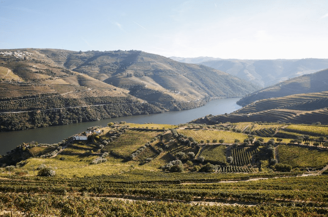 Panoramastraße sabrosa douro - tal