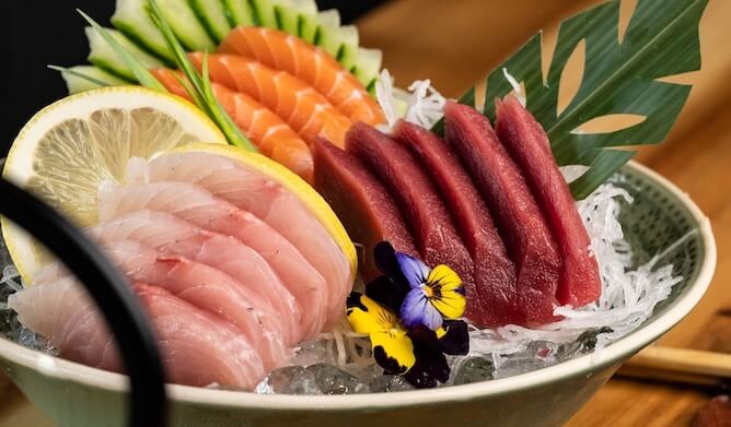 sushiaria leca palmeira