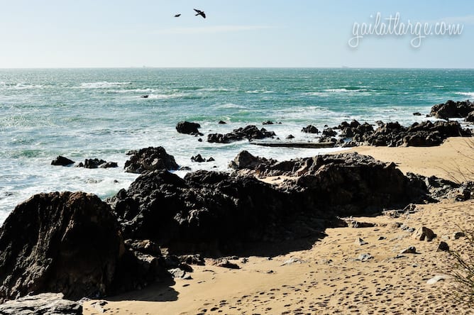 praia ingleses nice beach what to do in foz