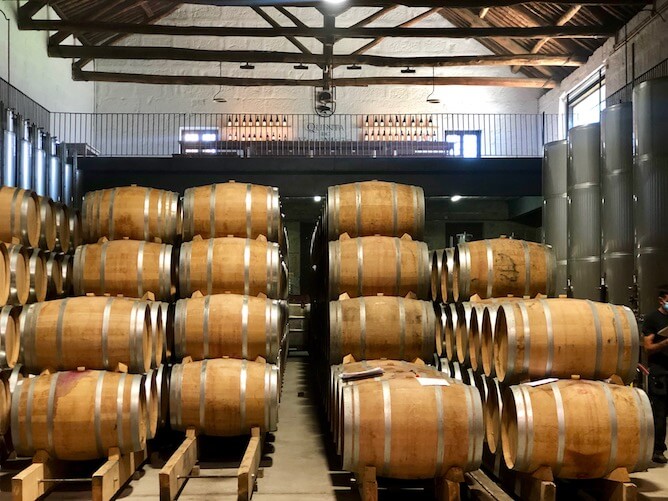 cellar quinta vale meao best vineyards douro valley