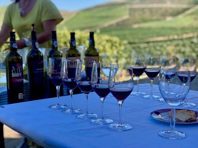 port wine tasting douro valley