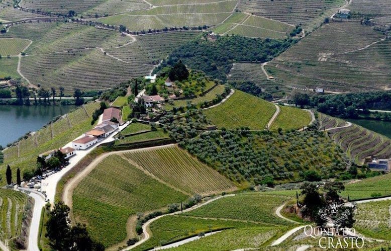 quinta do crasto best vineyards douro valley