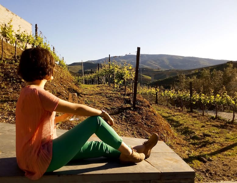 quinta do vallado best vineyards douro valley