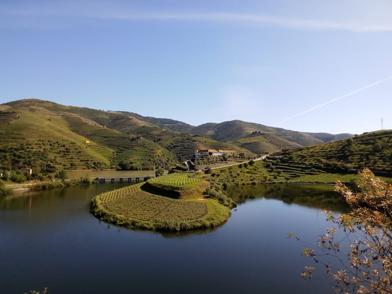 Blick vom Weingut Quinta do Tedo auf das Douro-Tal