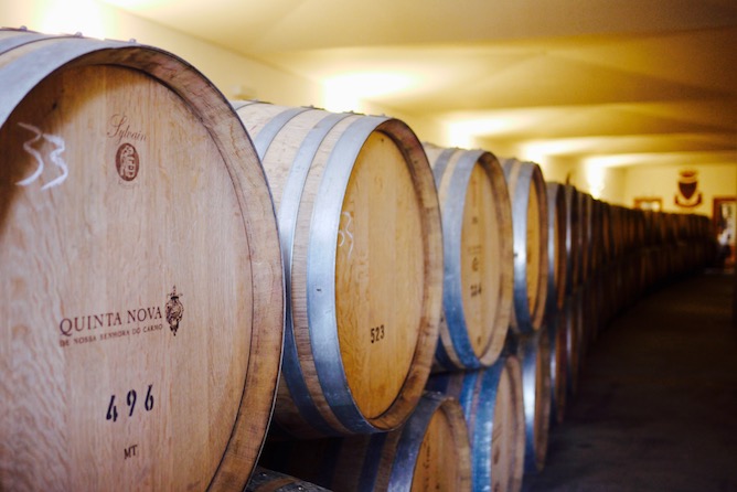 wine barrels douro valley