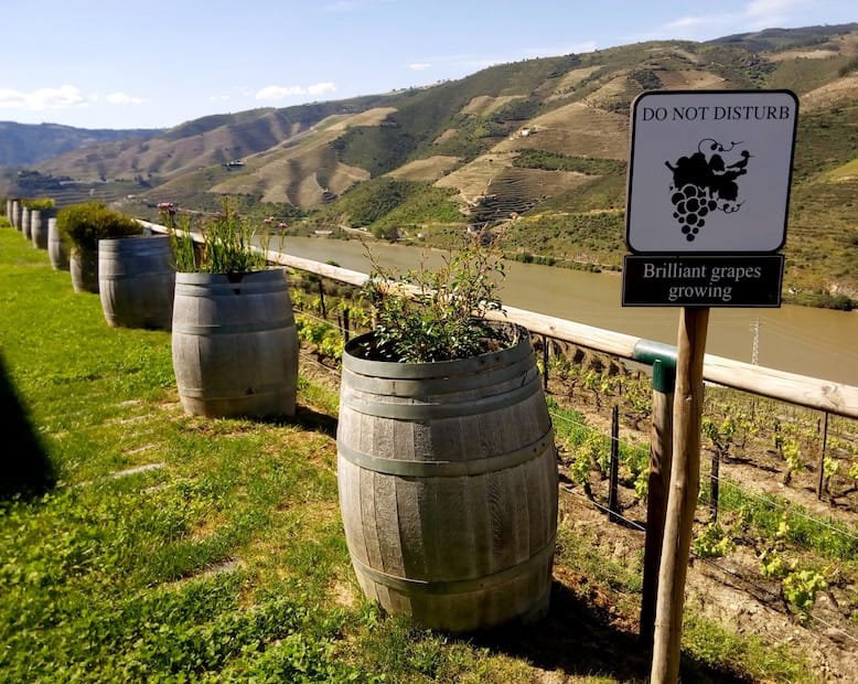 Weinfässer Quinta do Popa beste Weingüter Douro-Tal