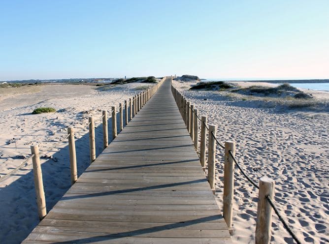 beach gaia northern portugal