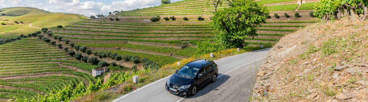 private douro valley tour