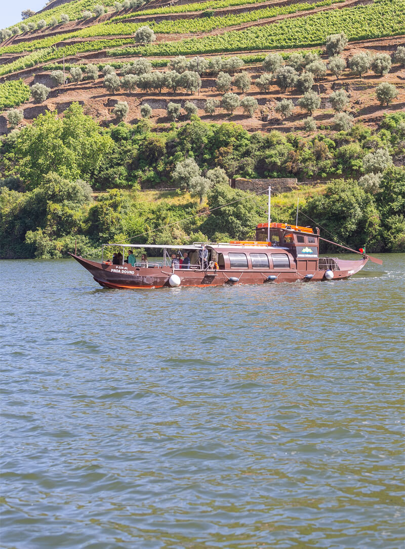 River cruise and wine tour in Douro Valley Portoalities Travel blog