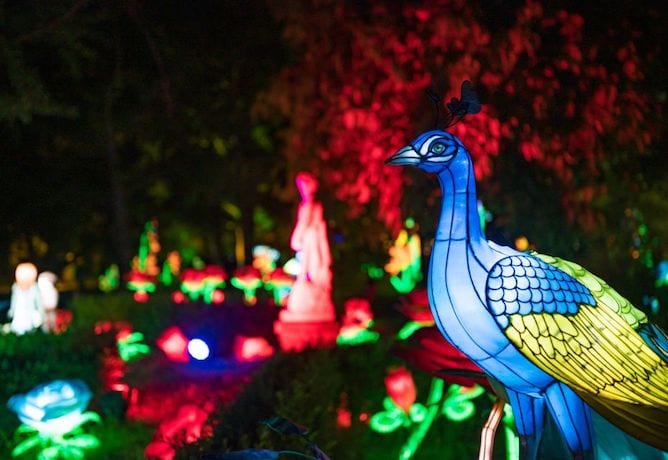 porto magical garden atividade familias criancas