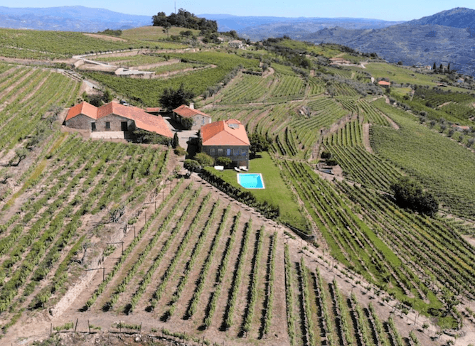 quinta portela baixo best vineyards douro valley