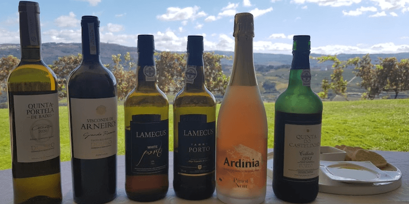 wine tasting quinta portela douro