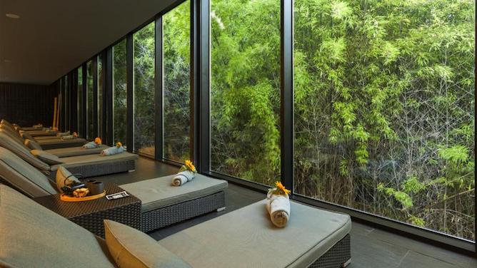 spa lounge forest view