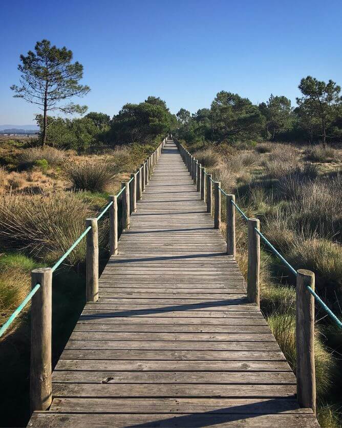 boardwalk litoral norte national parks near porto