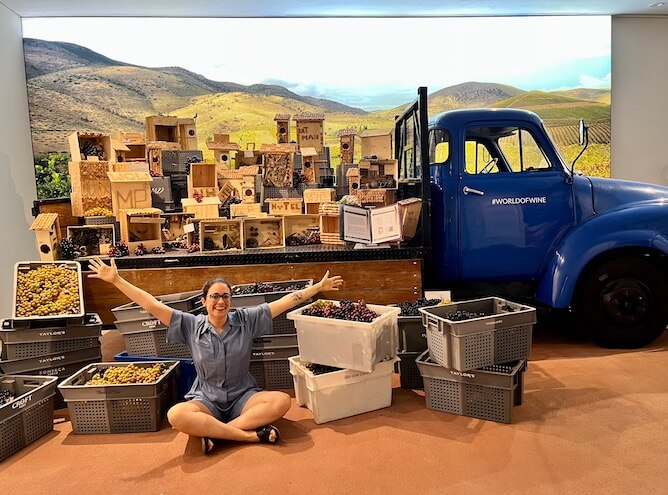 harvest season wine museum porto