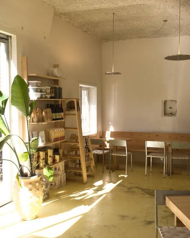 bicho porto room filled light plants