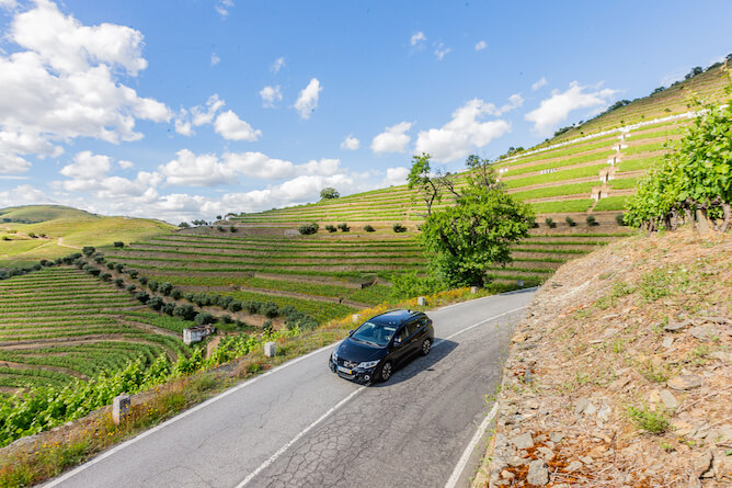 private driver douro valley tour portoalites