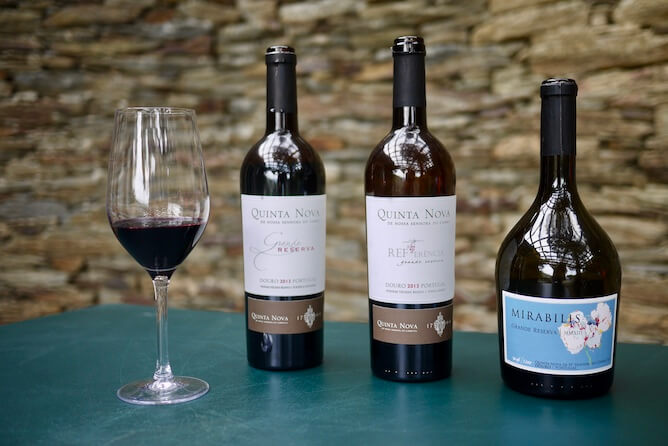 premium wine tasting douro valley