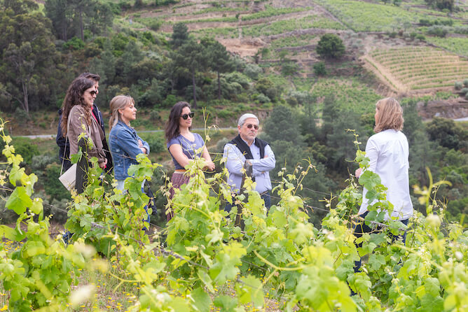 wineries douro valley private tours portoalities