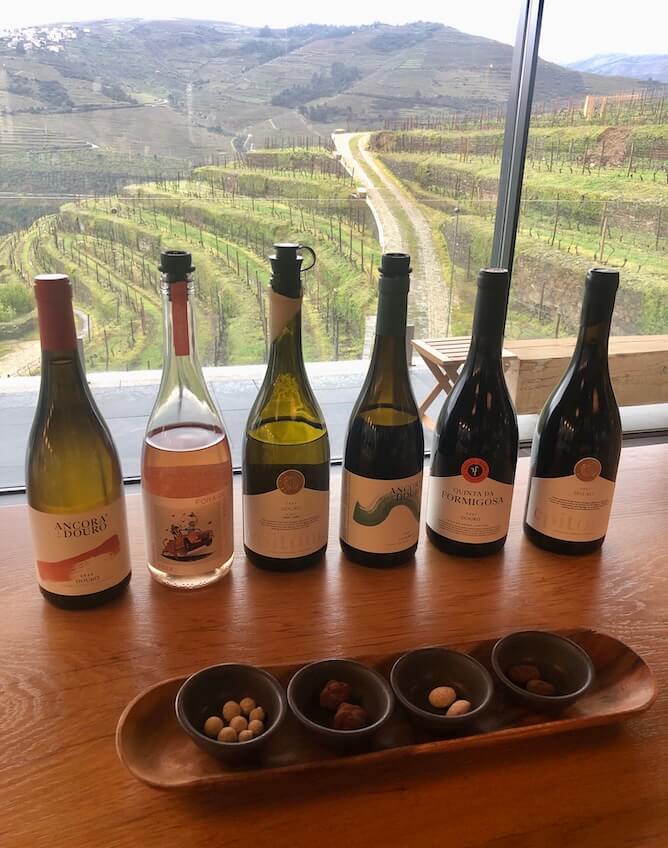 wines quinta formigosa douro valley