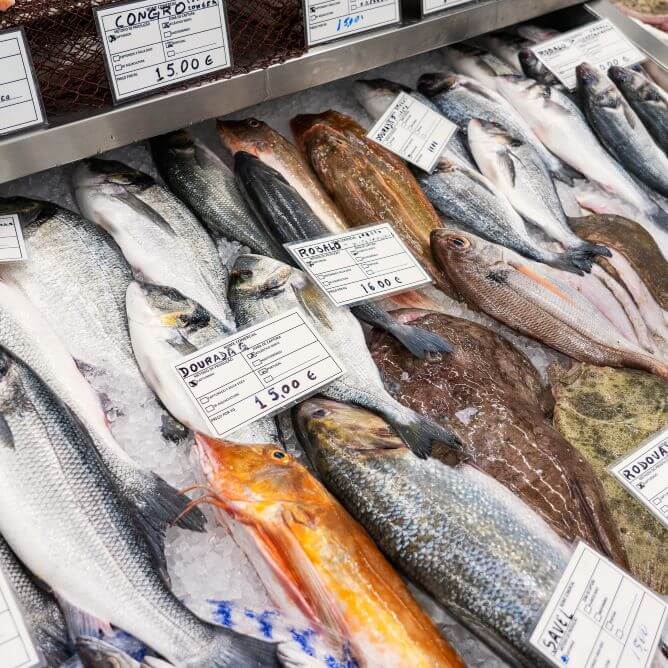 seafood display bolhao market